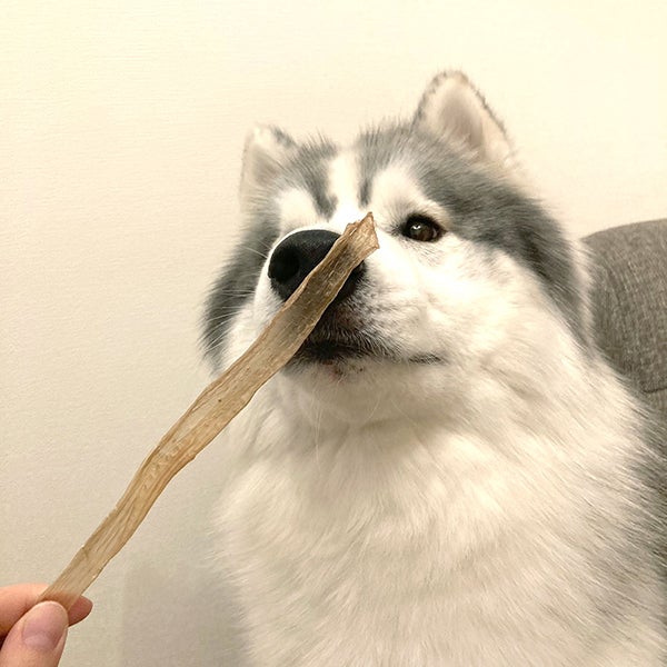 商品イメージ