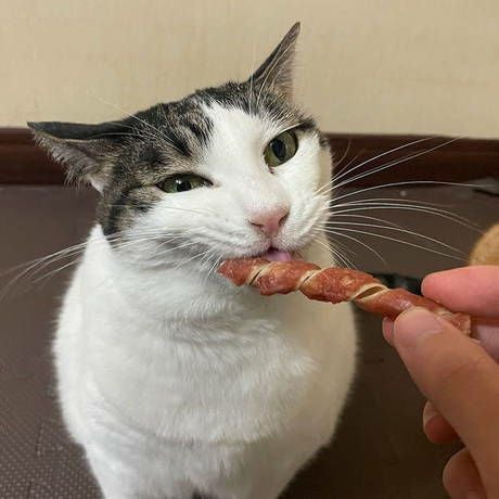 商品イメージ