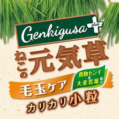 商品イメージ