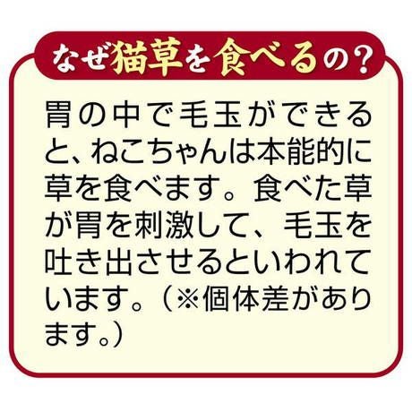 商品イメージ