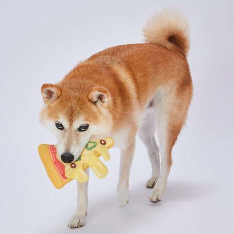 犬用おもちゃ EthicalDoor エシカルドア かみぐるみ ピザ | ペティオ