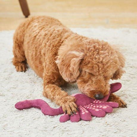犬用おもちゃ EthicalDoor エシカルドア かみぐるみ たこ足 | ペティオ