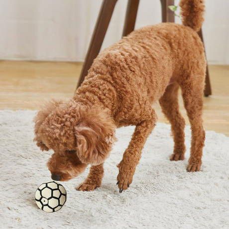 犬用おもちゃ サイレントドッグラテックス サッカーボール | ペティオ