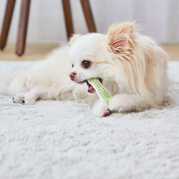 犬用おもちゃ かんでるボーン デンタル SS ソフト | ペティオ