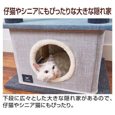 13%OFF】猫用タワー necoco ネココ キャットリビングタワー クリア