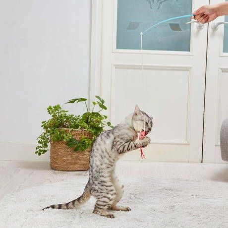 猫用おもちゃ けりぐるみ de じゃらし ミニエビ | ペティオ オンライン