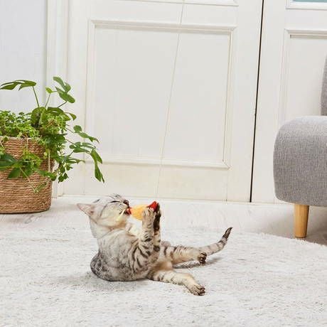 【未使用品】シャルロットオリンピアVero Cuoio 猫モカシン 35 猫用おもちゃ けりぐるみ de じゃらし ミニエビ天 | ペティオ