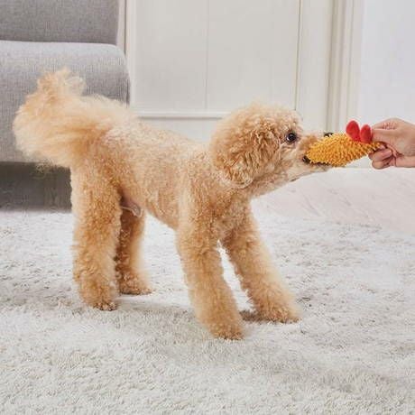 犬用おもちゃ モコモコシャカシャカTOY エビ天 | ペティオ オンライン