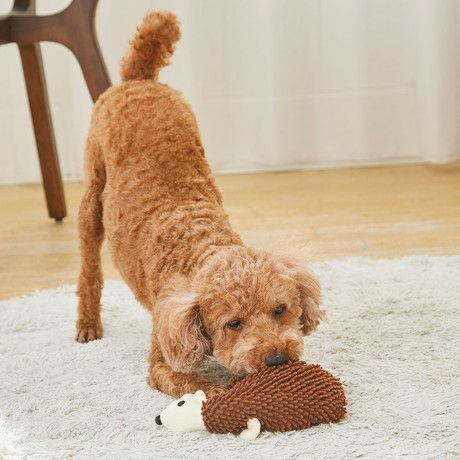 犬用おもちゃ モコモコシャカシャカTOY Big ハリネズミ | ペティオ