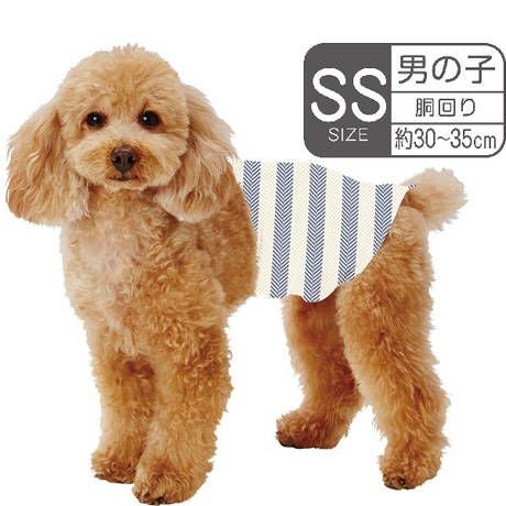 商品イメージ