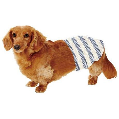 12%OFF】犬用オムツ フレス frais たっぷり吸収するエチケットパンツ