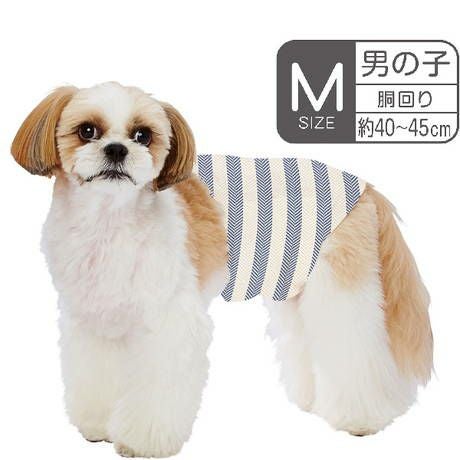 商品イメージ