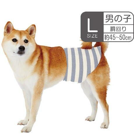 商品イメージ