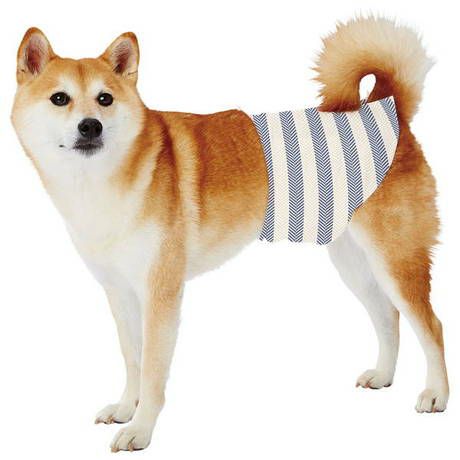 商品イメージ