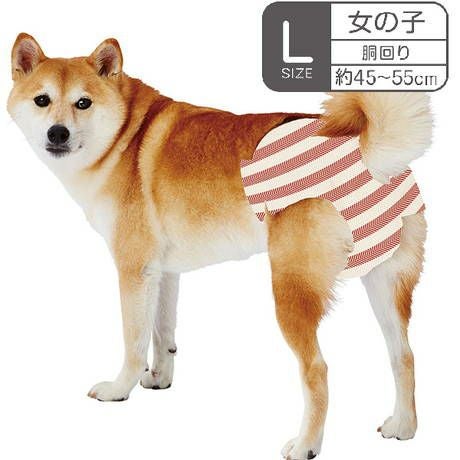 商品イメージ