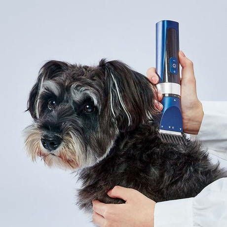 14%OFF！お手入れ・飼いはじめ特集】Self Trimmer セルフトリマー