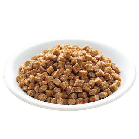 ドッグフード MaO ハッピードッグ ミニ センシブル ミニモンタナ 馬肉&ポテト（小粒