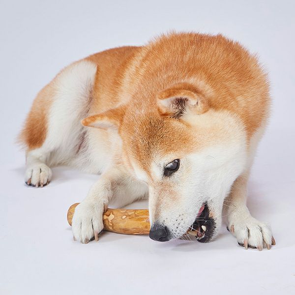 商品イメージ