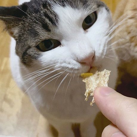 商品イメージ
