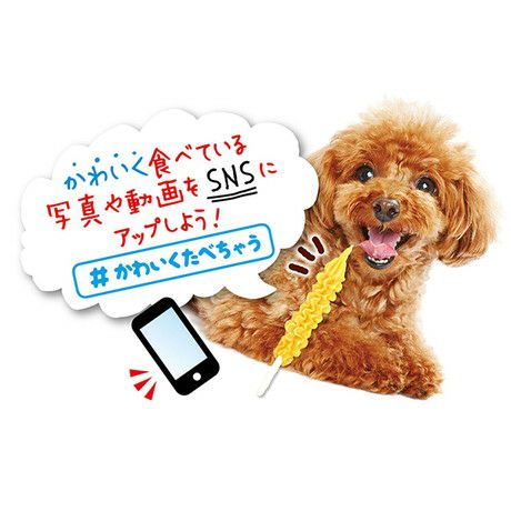 商品イメージ
