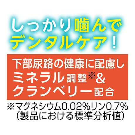 Plact プラクト ねこちゃんの 7歳からの歯みがきデンタルガム まぐろ味
