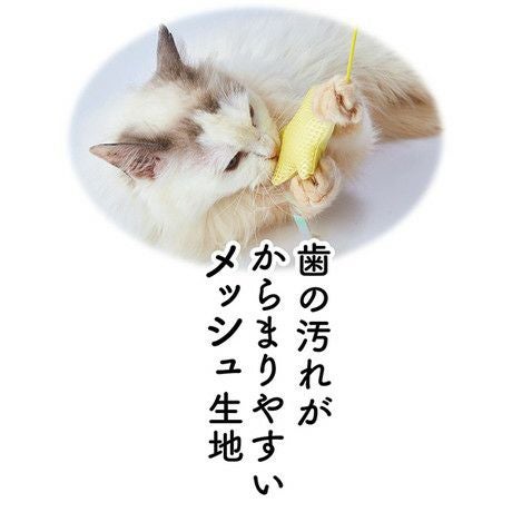 10%OFF！デンタルアイテム特集】Add.Mate アドメイト 猫用おもちゃ