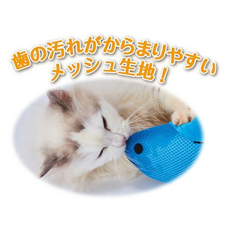 猫あむさん専用 あむ (@amu.2255) • Instagram photos and videos