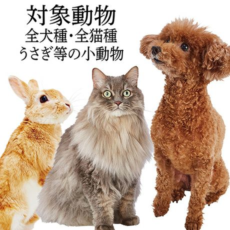 Add.Mate アドメイト ペット用ブラシ 持ち手がロングで持ちやすい