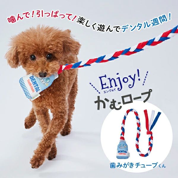 【ちっくんさん専用】ARIIX REVIIVE アリックス リヴィーブ 歯みがき ちっくんさん専用】ARIIX REVIIVE アリックス リヴィーブ 歯みがき