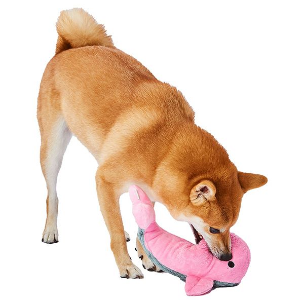 15%OFF！スーパーSALE】Add.Mate アドメイト 犬用おもちゃ アクア
