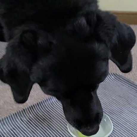 商品イメージ