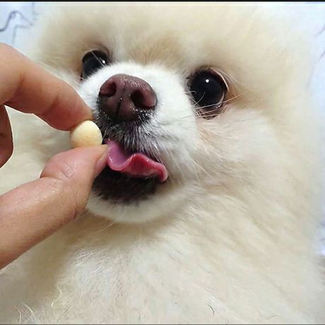 商品イメージ