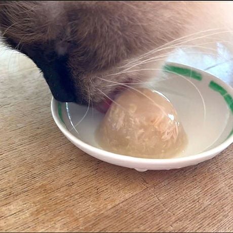 for pets only新品スペシャルオーダーカシミア・ミラノ店限定品Sサイズ Nature+ For Dog】スペシャルCICAトリートメント（短毛用） Pets-first