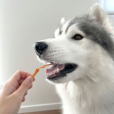 商品イメージ