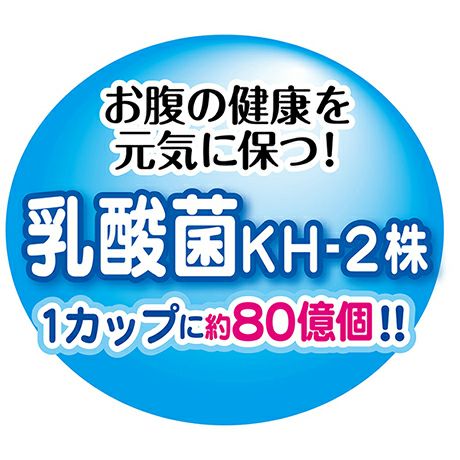 乳酸菌のちから ゼリータイプ ミックス 16g×15個入 | ペティオ