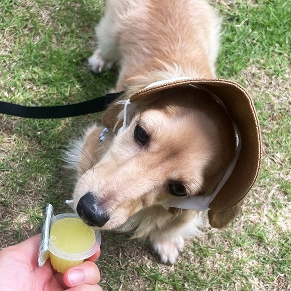 商品イメージ