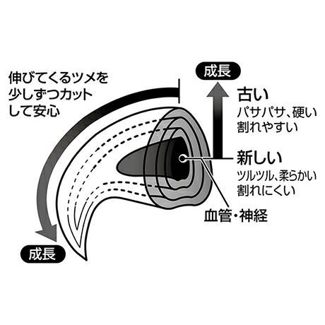 商品イメージ