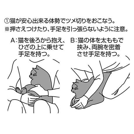 商品イメージ