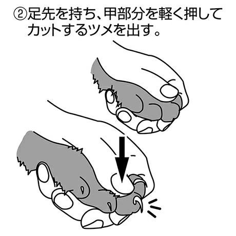 商品イメージ