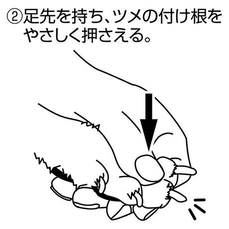 SelfTrimmer セルフトリマー スパッと素早く切れる 犬用爪切り 日本製