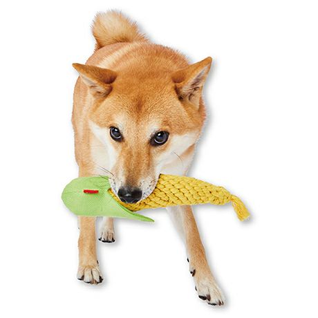 犬用おもちゃ 編んでるCORNデンタル M | ペティオ オンライン ショップ本店