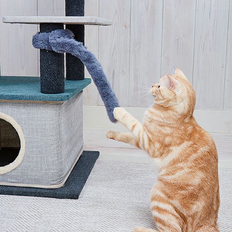猫用おもちゃ にゃんプロ猫じゃらし となりのしっぽ | ペティオ