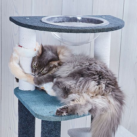 猫用おもちゃ にゃんプロ猫じゃらし となりのねこパンチ | ペティオ