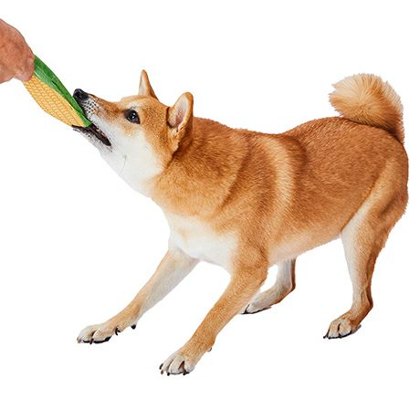 商品イメージ