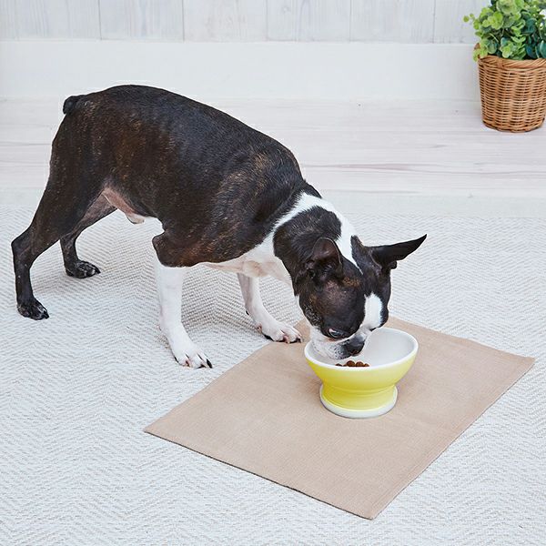 20%OFF！スーパーSALE】犬用食器 Porta ポルタ 脚付き食器 S【会員様
