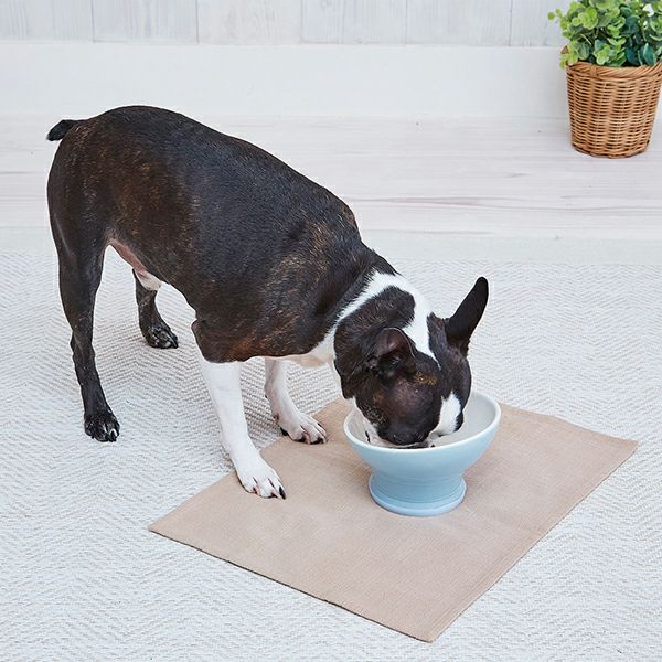 犬用食器 Porta ポルタ 脚付き食器 M | ペティオ オンライン ショップ本店