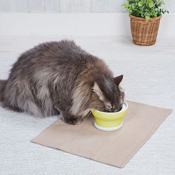 猫用食器 necoco ネココ 愛猫が食べやすい 脚付き食器 ドライフード