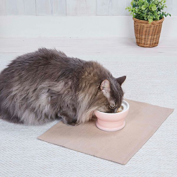 ねここ ★ 28%OFF】necoco ネココ 仔猫からのしつけにもぴったりな キャット