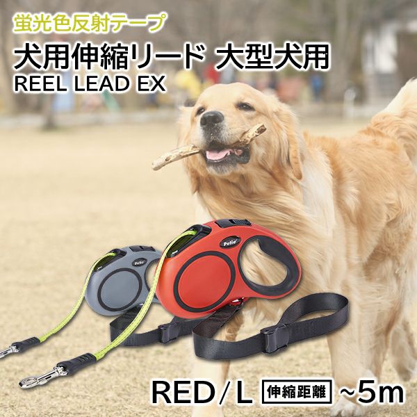 犬用伸縮リード リールリードEX L レッド | ペティオ オンライン
