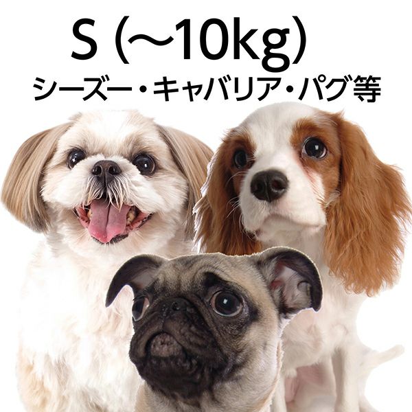 犬用胴輪 EthicalDoor エシカルドア イージーウェアハーネス S レッド